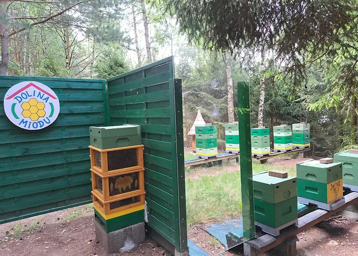 Dolina Miodu - Kaszuby, Sauna, Gorąca Balia