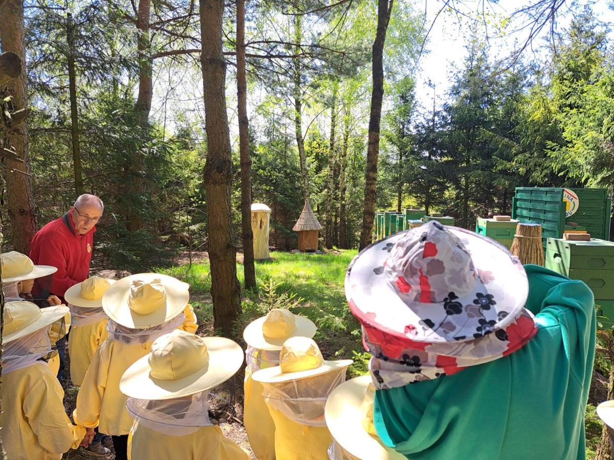 Dolina Miodu - Kaszuby, Sauna, Gorąca Balia