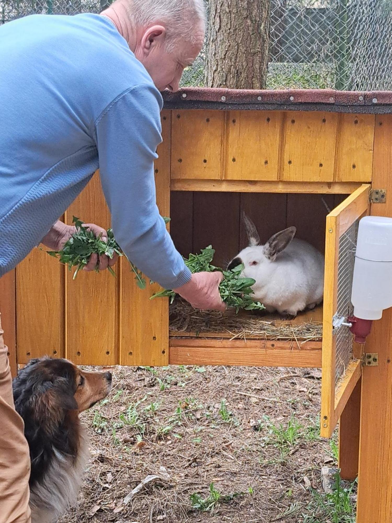 Dolina Miodu - Kaszuby, Sauna, Gorąca Balia * Borowina