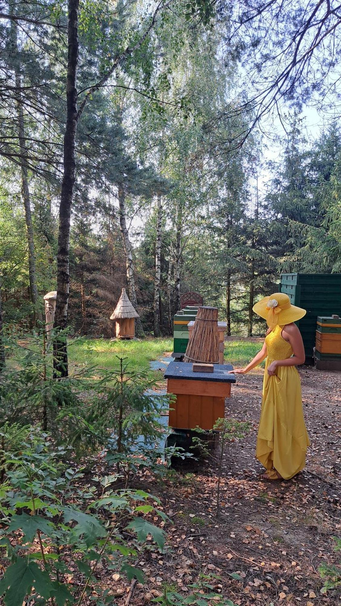 Dolina Miodu - Kaszuby, Sauna, Gorąca Balia Gospodarstwo agroturystyczne Borowina
